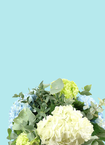 Same day Flowers Belgravia